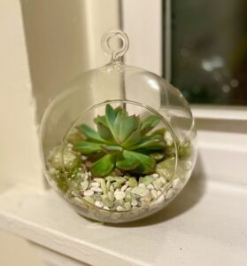 Hanging glass terrarium with a green succulent surrounded by white pebbles, placed on a windowsill.