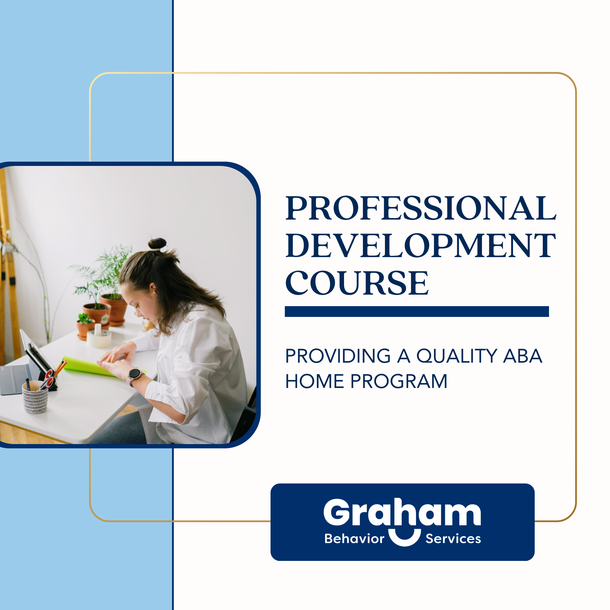 Professional Development Course